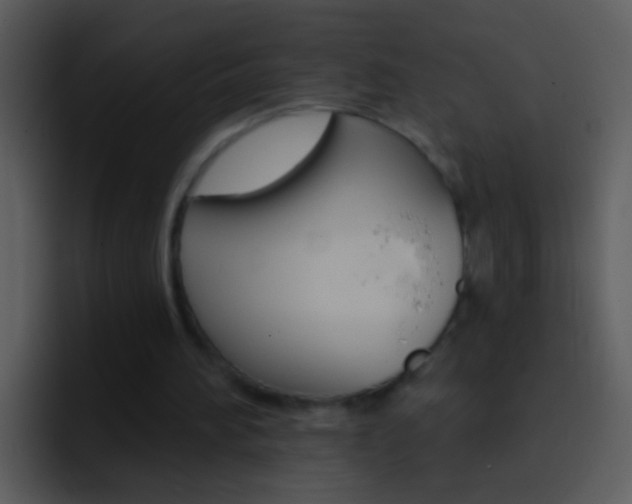 X0000096990196200802080926