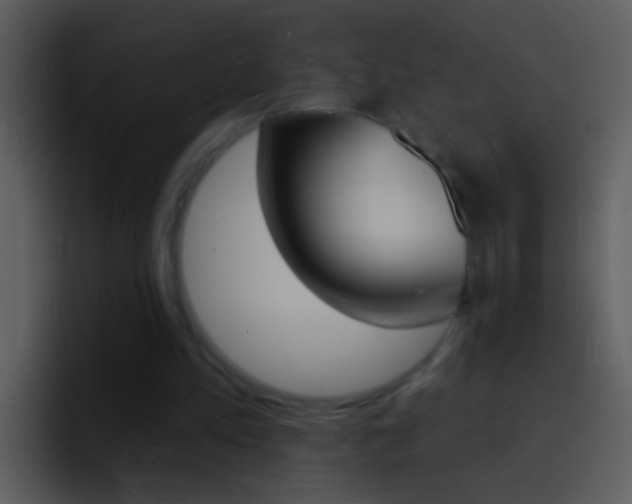X0000096990197200802080926