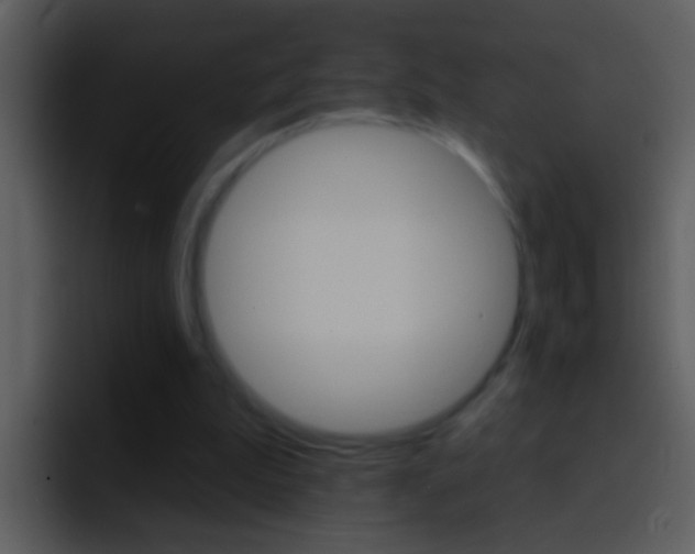 X0000096990199200802080926