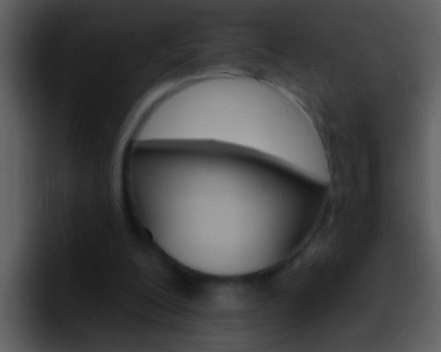 X0000096990200200802080926