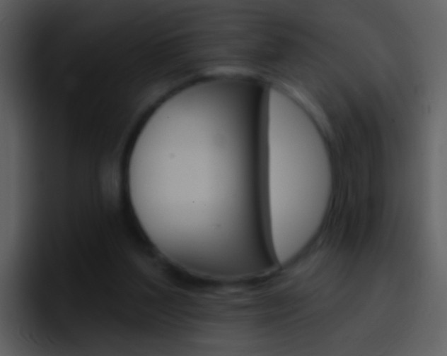 X0000096990204200802080926