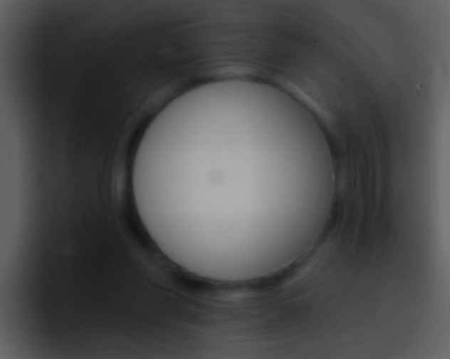 X0000096990206200802080926