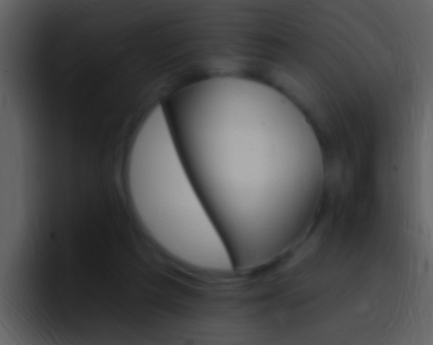 X0000096990209200802080926
