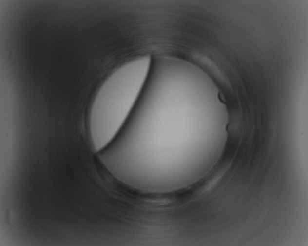 X0000096990213200802080926