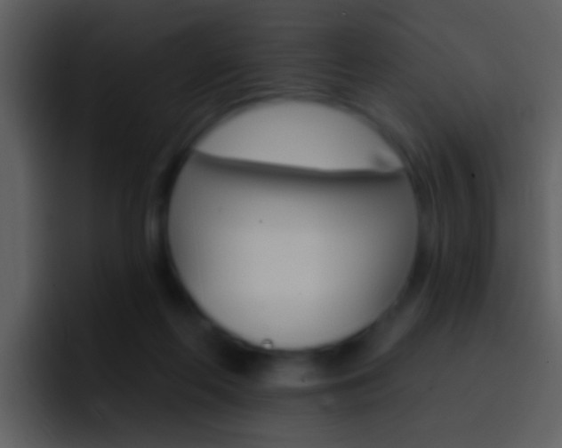 X0000096990214200802080926