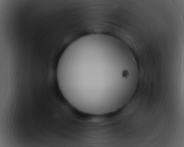 X0000096990220200802080926