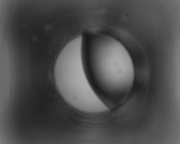 X0000096990221200802080926