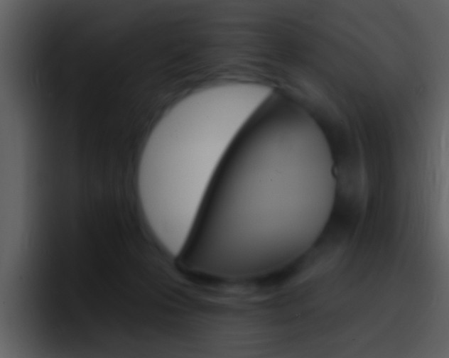 X0000096990223200802080926