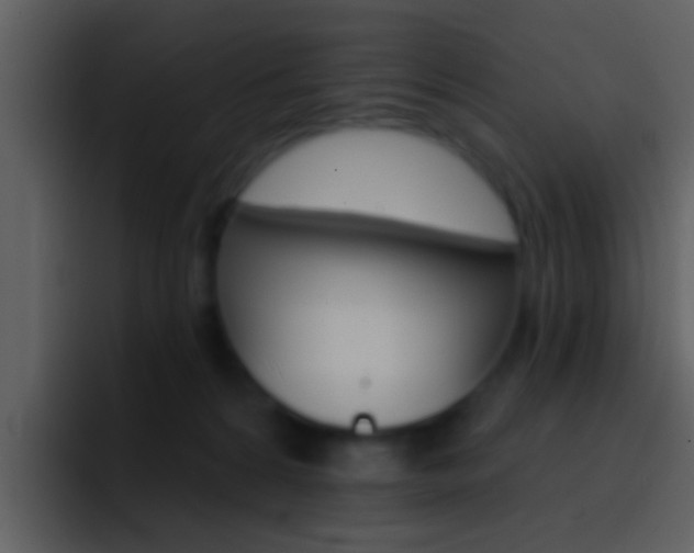 X0000096990224200802080926