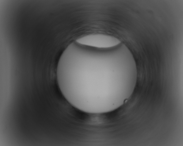 X0000096990226200802080926