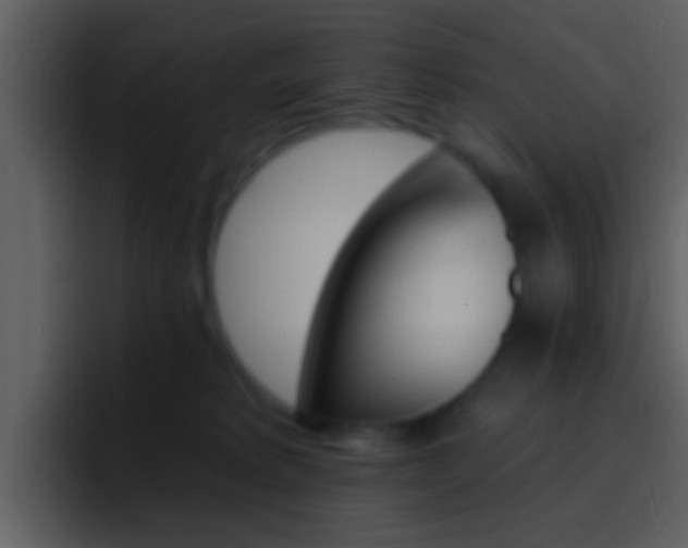 X0000096990229200802080926