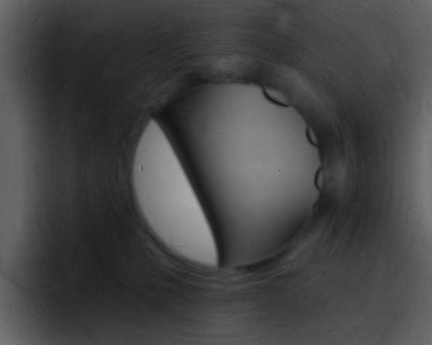 X0000096990231200802080926