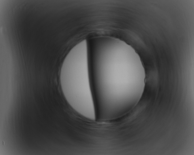 X0000096990233200802080926