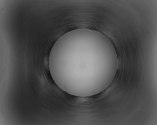 X0000096990238200802080925
