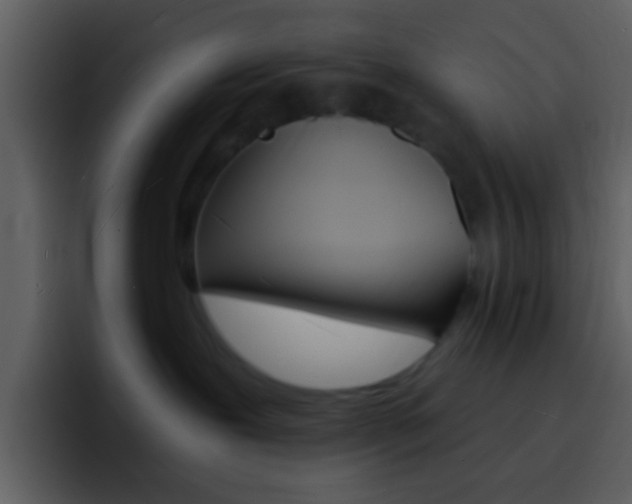 X0000096990239200802080925