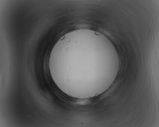 X0000096990240200802080925