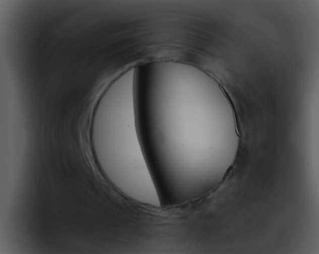X0000096990241200802080925