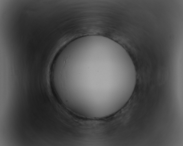 X0000096990242200802080925