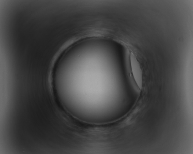 X0000096990244200802080925