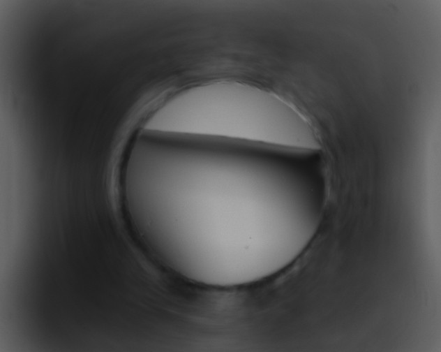 X0000096990245200802080925