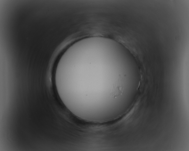 X0000096990246200802080925