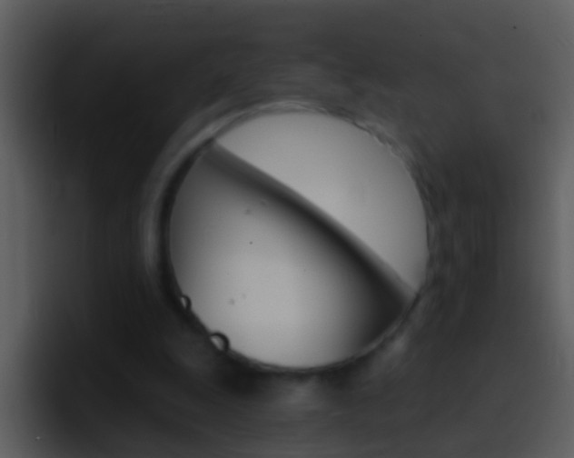 X0000096990247200802080925