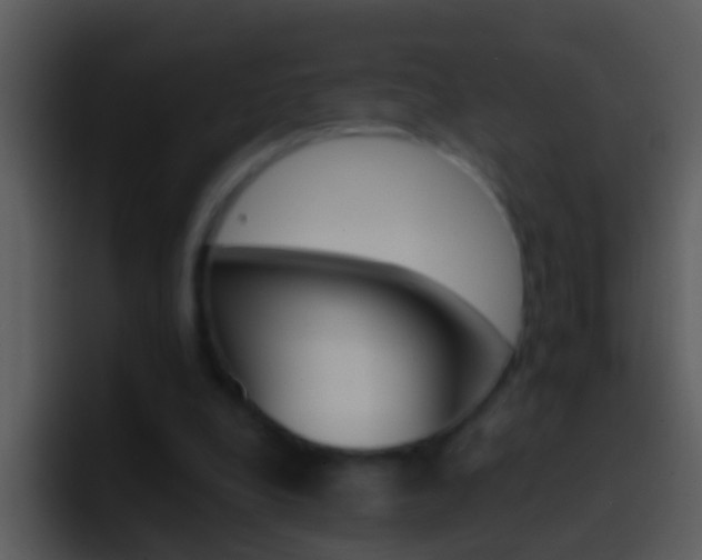 X0000096990248200802080925