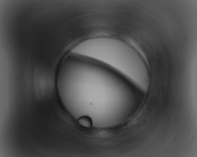 X0000096990249200802080925