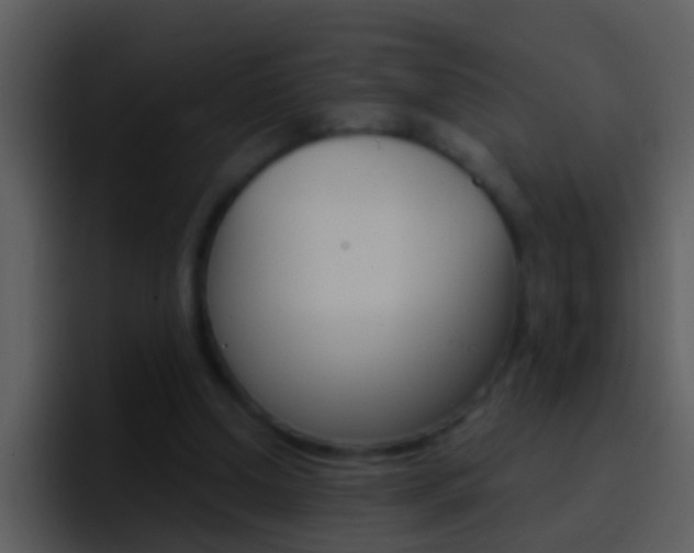 X0000096990250200802080925