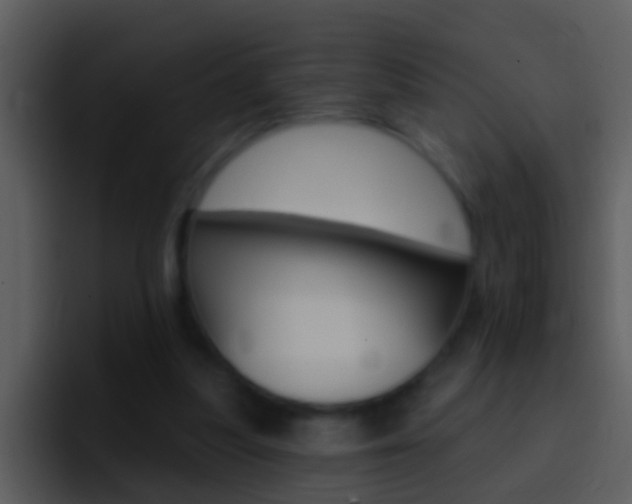 X0000096990251200802080925