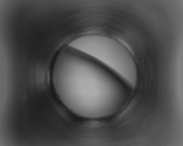 X0000096990253200802080925
