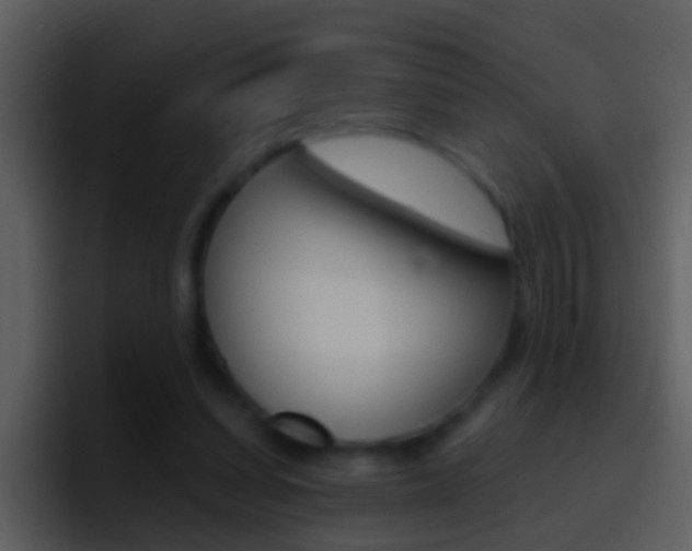 X0000096990254200802080925