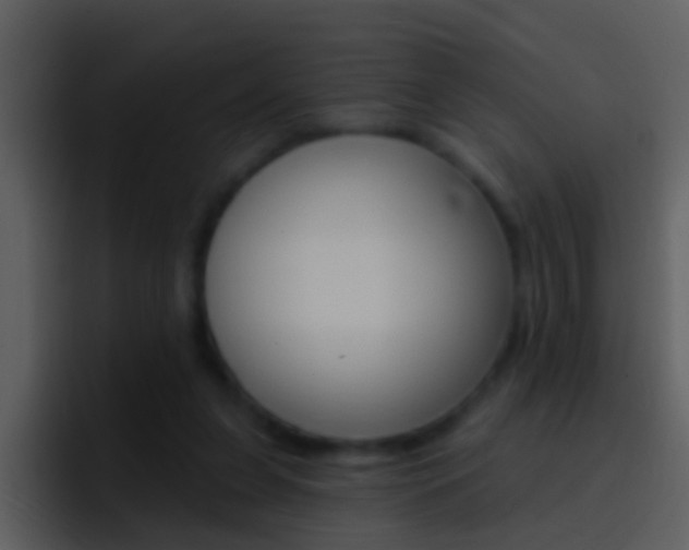 X0000096990255200802080925