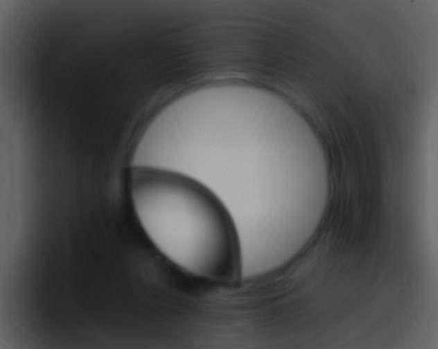 X0000096990256200802080925