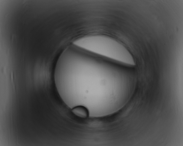 X0000096990258200802080925