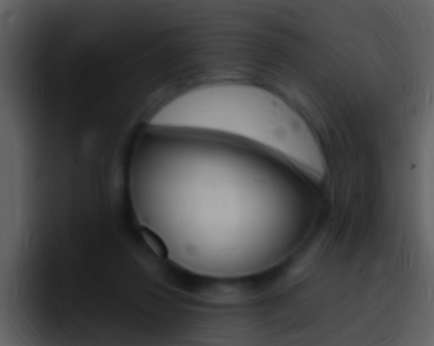X0000096990260200802080925