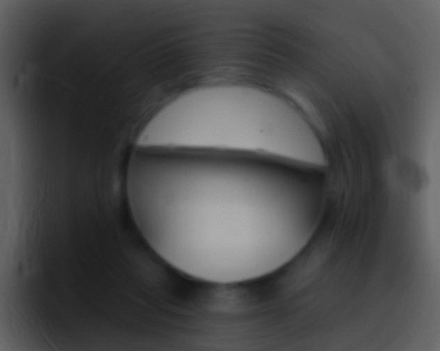 X0000096990261200802080925