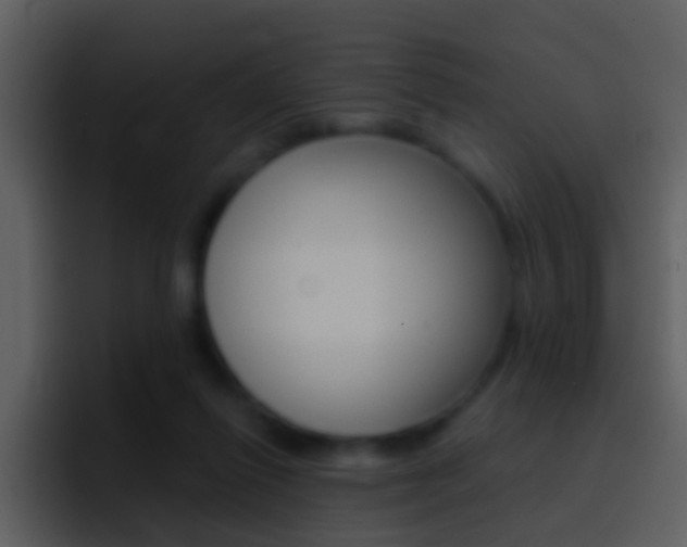 X0000096990262200802080925