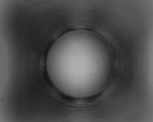 X0000096990264200802080925