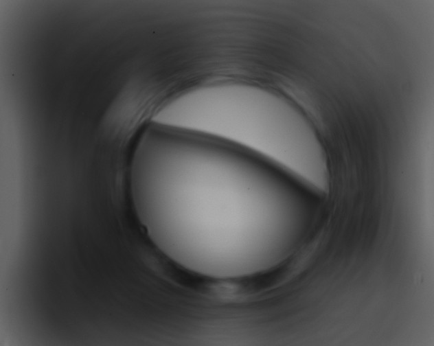 X0000096990265200802080925