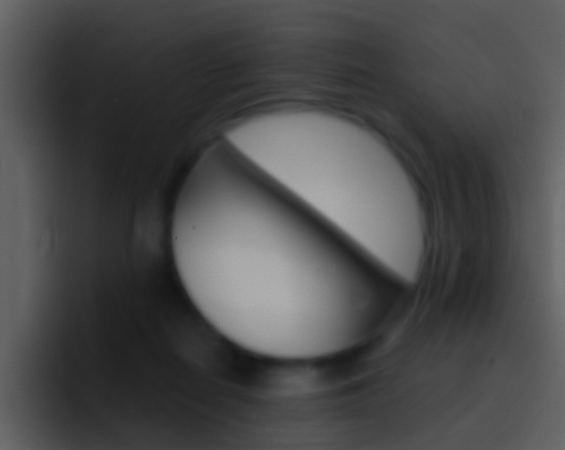 X0000096990266200802080925