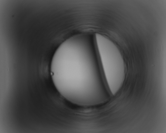 X0000096990267200802080925