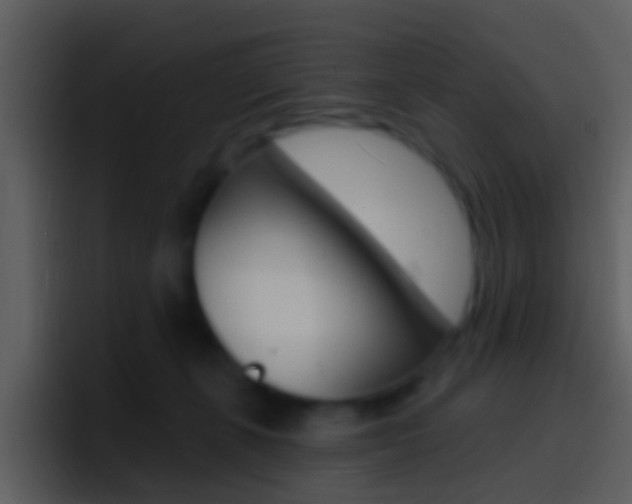 X0000096990271200802080925