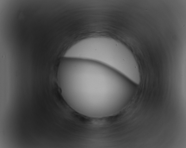X0000096990272200802080925