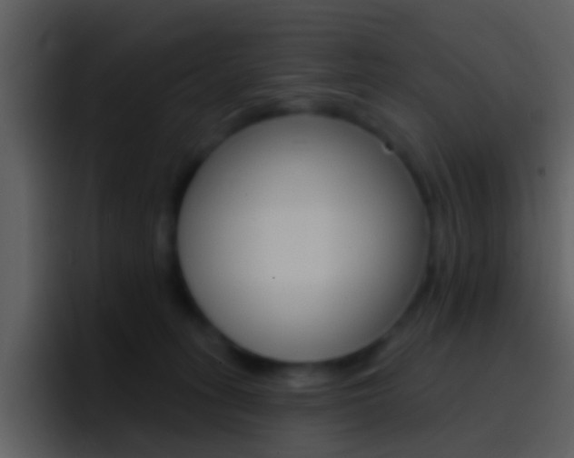 X0000096990275200802080925
