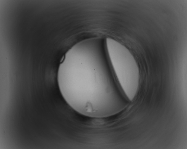 X0000096990279200802080925