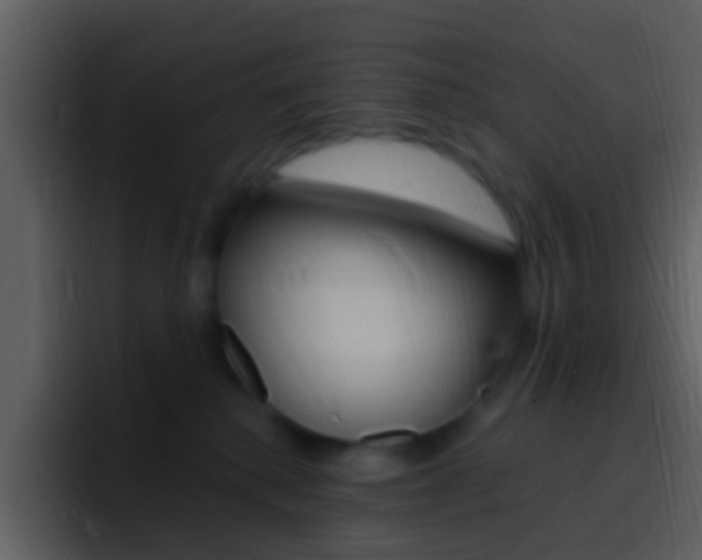 X0000096990280200802080925