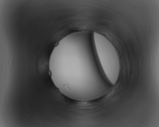 X0000096990281200802080925