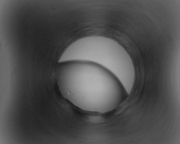X0000096990284200802080925