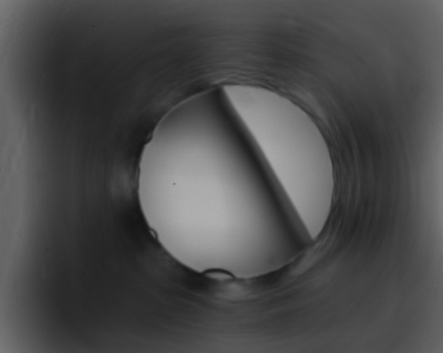 X0000096990285200802080925